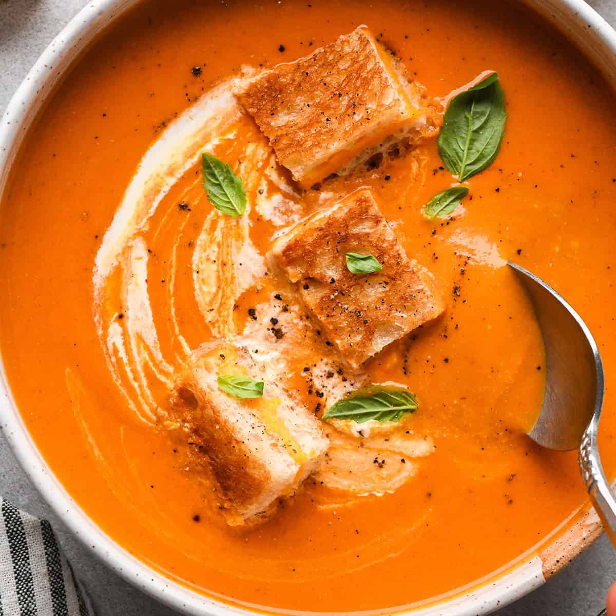 Cream of Tomato Soup